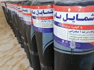 ایزوگام